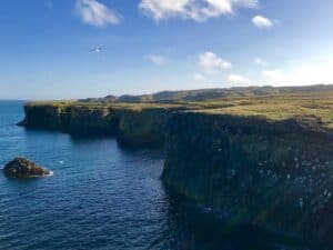 Arnarstapi looking south