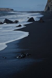 Black sand beach Iceland