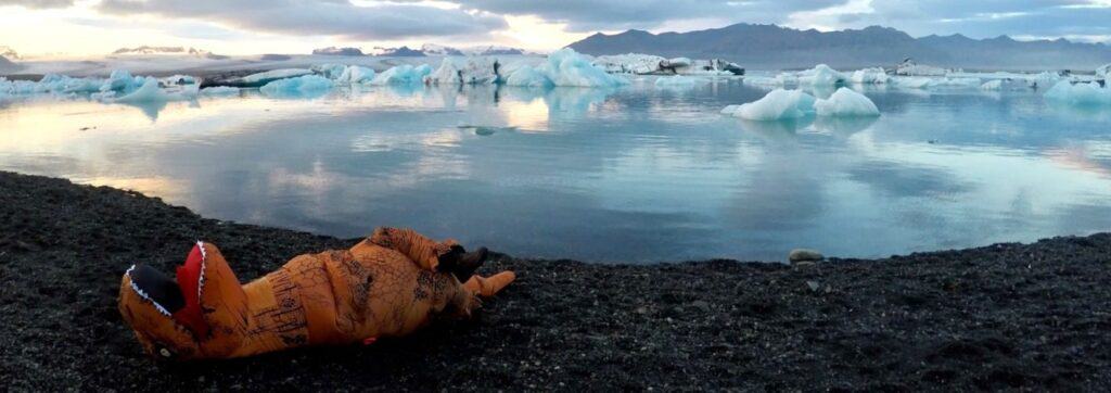 dinosaur laying on the diamond beach