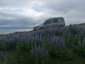 Exploring Iceland's countryside