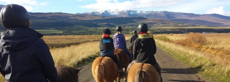 people on a horse riding tour in Iceland