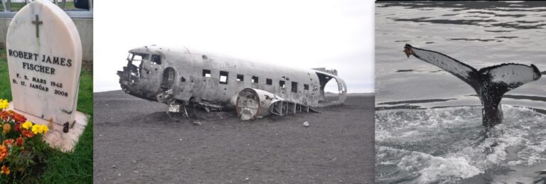 gravestone of bobby fischer, sólheimasandur plane wreck, whale tail