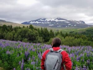 Iceland during summer
