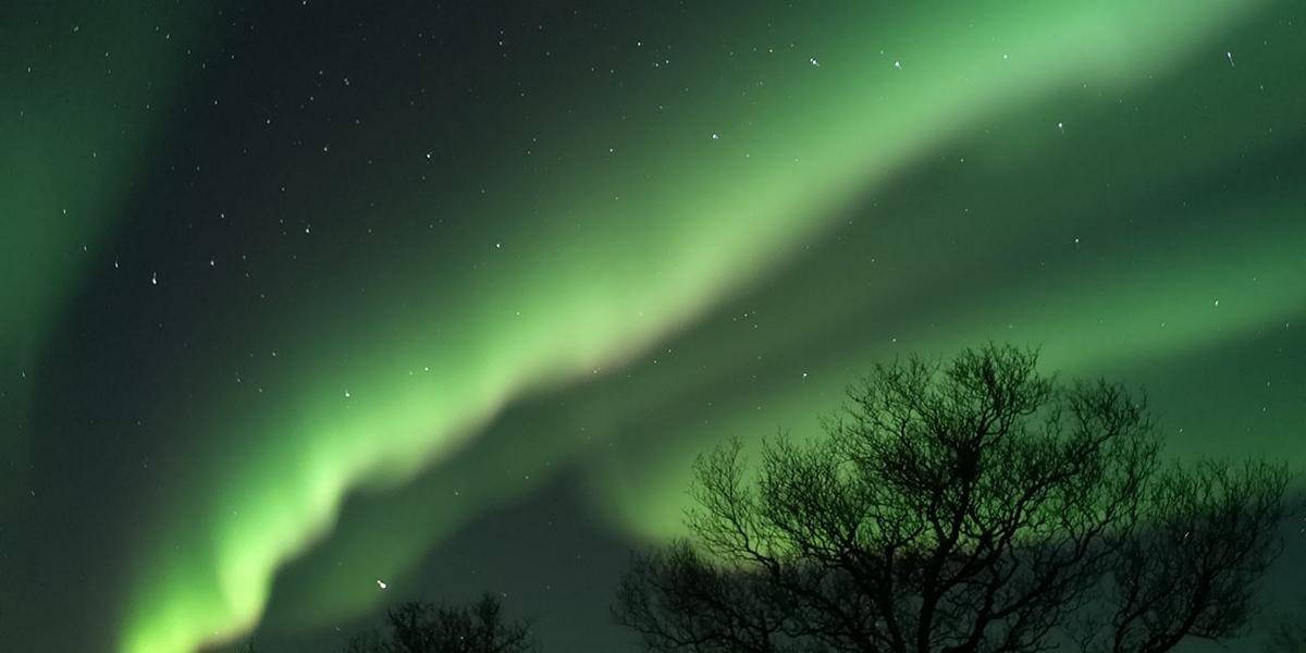 Northern Lights, Wintertime, Dark times good times, Aurora Borealis