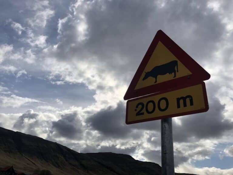 Sign in Iceland