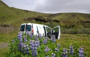 Lunch in Vik Lunch in Vik