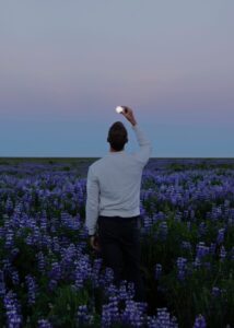 Lupins and the moon