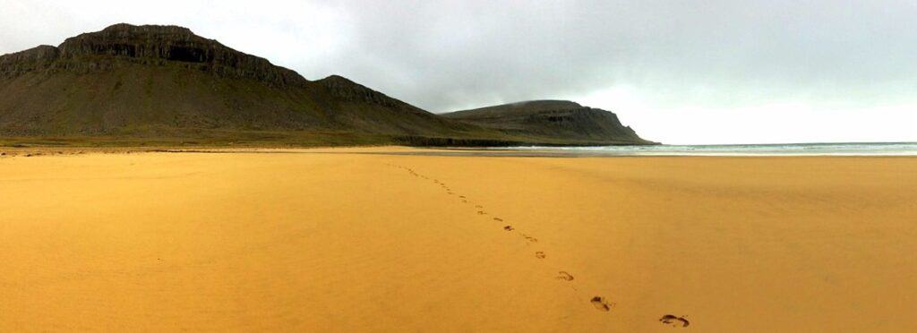 Rauðasandur beach iceland