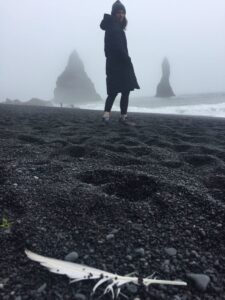 Reynisfjara beach