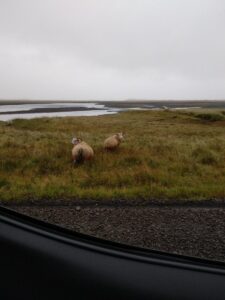 September evening Iceland