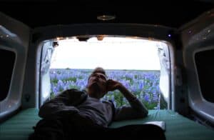 Sleeping among Lupins