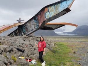 South Iceland Exploration