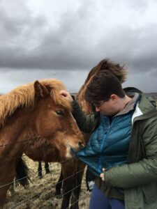 The Icelandic Horse