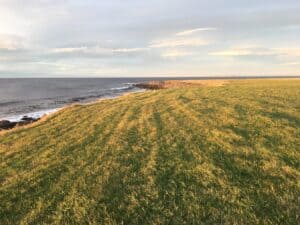 Tjörneshreppur Campsite view