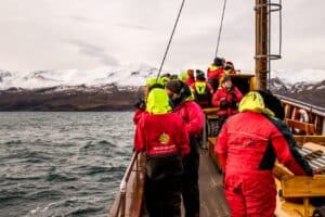 Whale safari in Húsavik