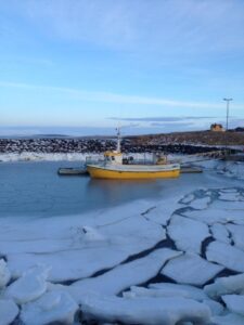 Winter harbor Iceland