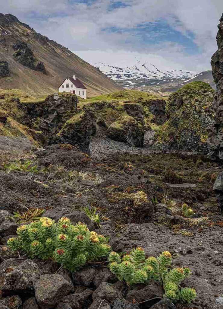 A white house on a hill far away