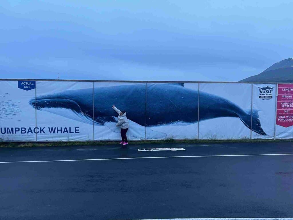 A woman standing by a large, long wall with a photo of a whale on a gloomy day